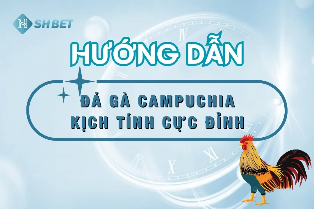coi đá gà Campuchia shbet88 online