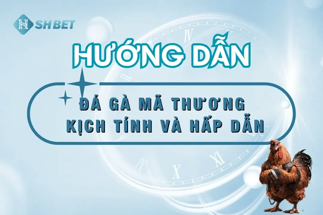 Nhà cái đá gà mã thương 5 shbet