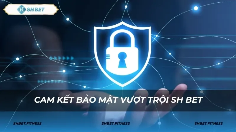 Quyền lợi người dùng trong